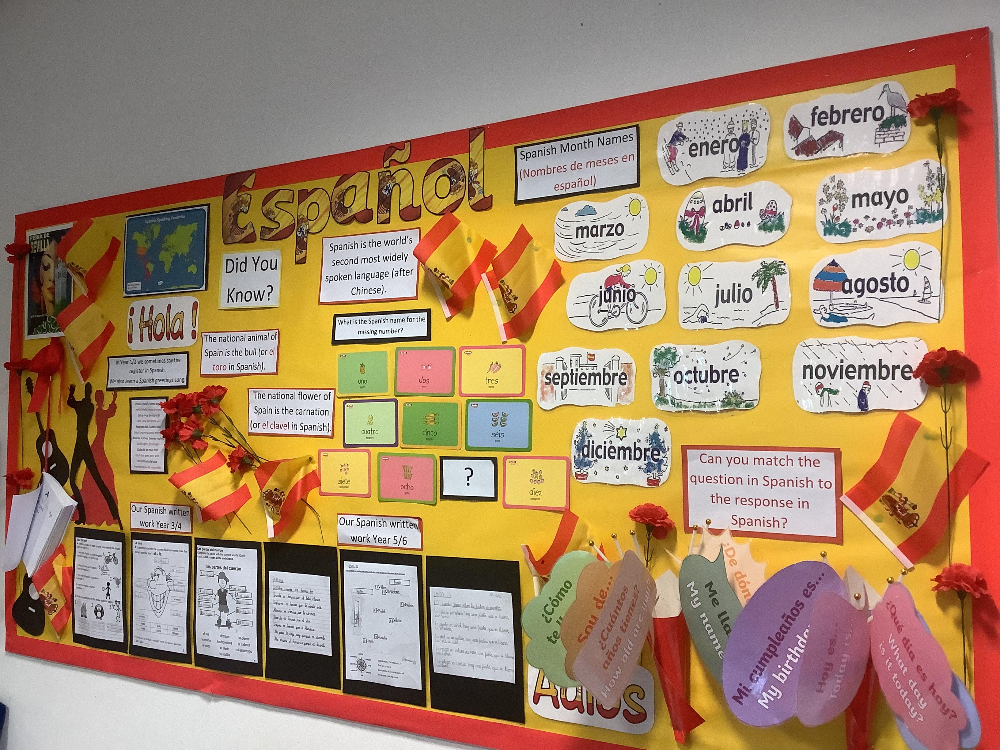 Cambourne Spanish Display